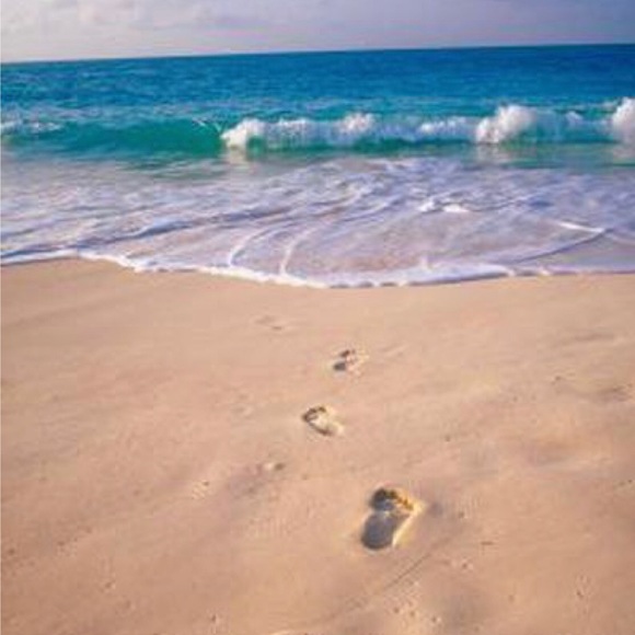 Meet your Posher, Molly - Picture 1 of 1